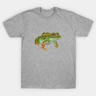 Frog Sees You T-Shirt